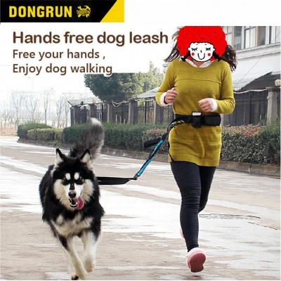 Premium hot sale handsfree running 50 foot bungee retractable dog leash